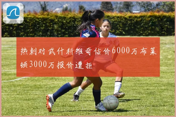 热刺对武什科维奇估价6000万布莱顿3000万报价遭拒